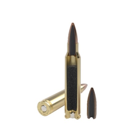 MFS 55G FMJ-BT 223 REM