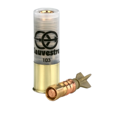 SAUVESTRE BALLES FLECHES 12-70 2