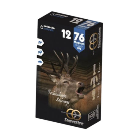 SAUVESTRE BALLES FLECHES 12-76