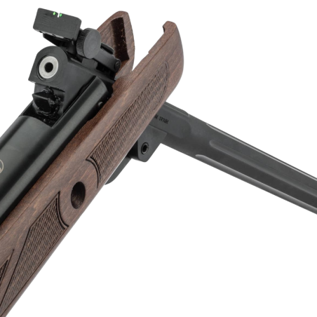 GAMO COMBO HUNTER 440 AS 4.5MM 19.9J + OPTIQUE 3-9x40