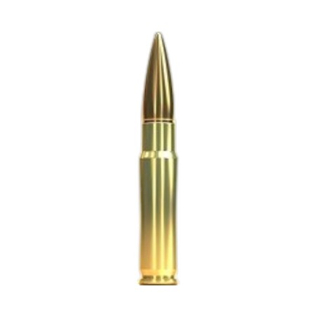 SELLIER BELLOT 300 BLACKOUT 200GRS SUBSONIC