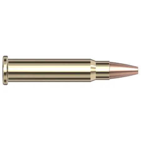 HORNADY 20G XTP 17HMR 2