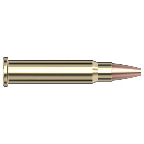 HORNADY 20G XTP 17HMR