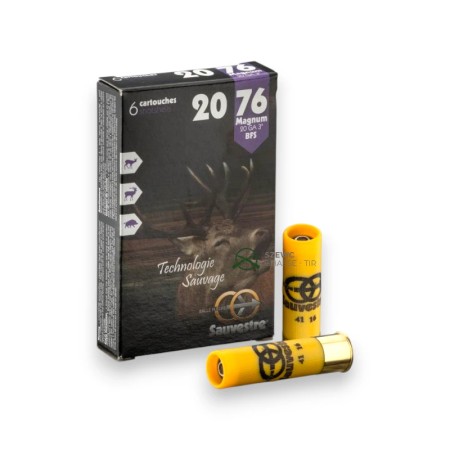 SAUVESTRE BALLES FLECHES 20-76