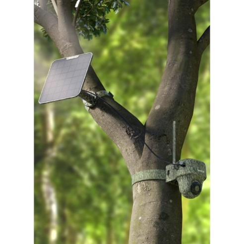 REOLINK CAMERA G450 AVEC PANNEAU SOLAIRE