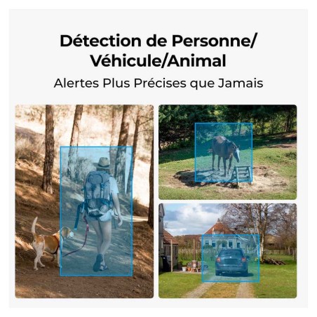 REOLINK CAMERA G770 AVEC PANNEAU SOLAIRE