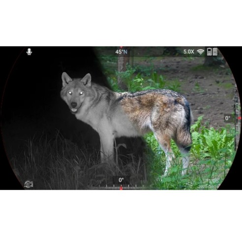 ATN BINOX 6 DUAL BINOCULAIRES THERMIQUE 256x192